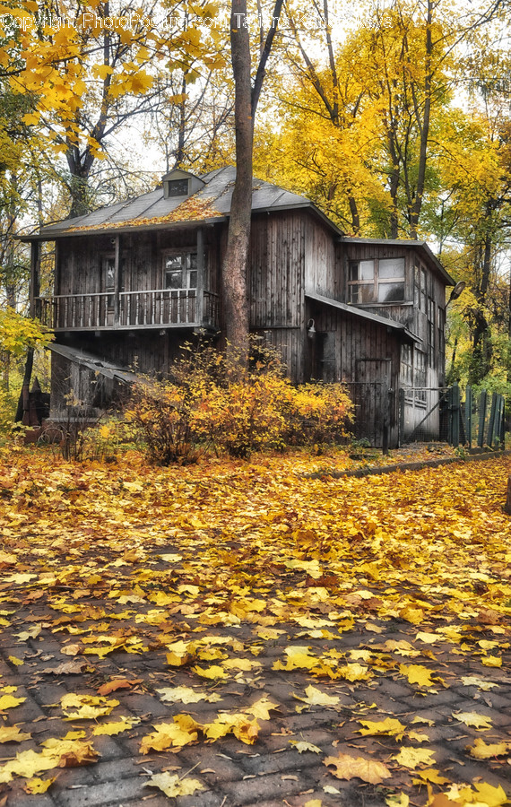 Building, Cottage, House, Housing, Countryside