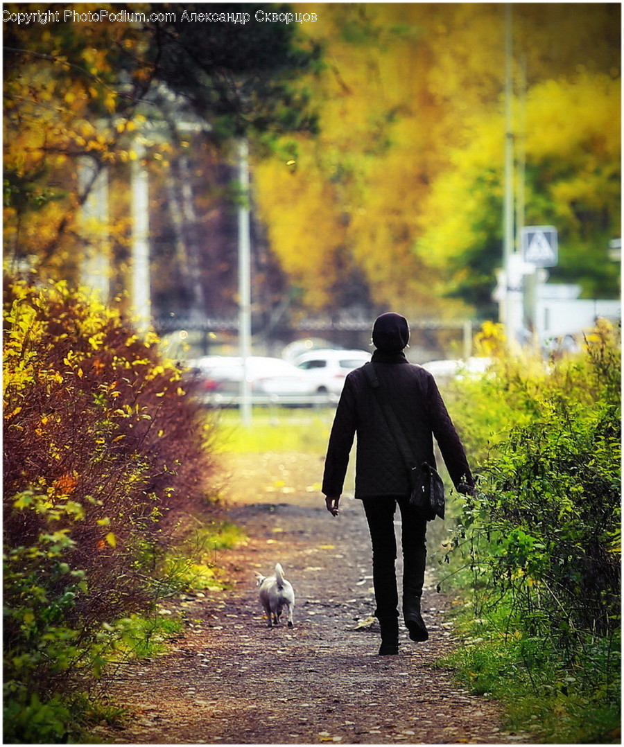 Human, People, Person, Dirt Road, Gravel