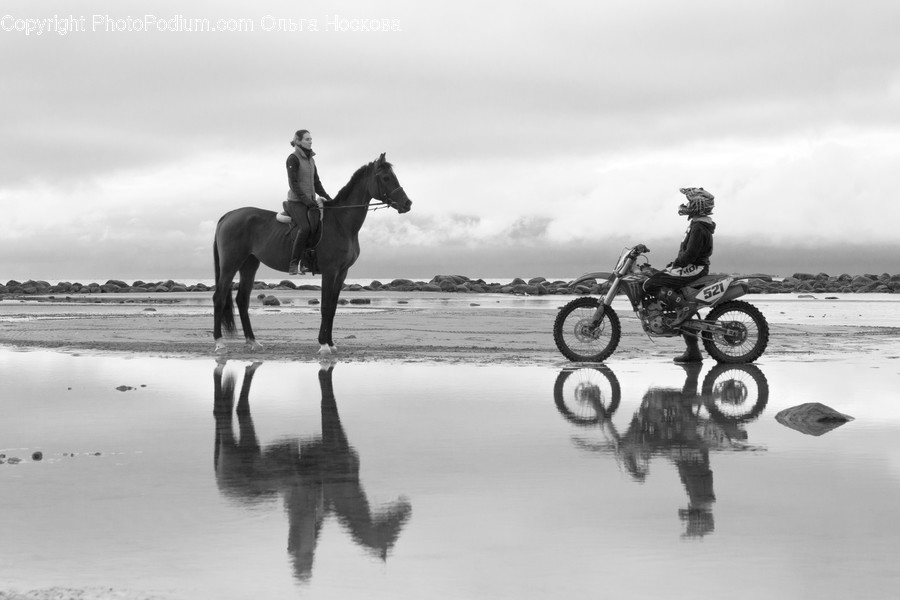 Animal, Horse, Mammal, Motocross, Motorcycle