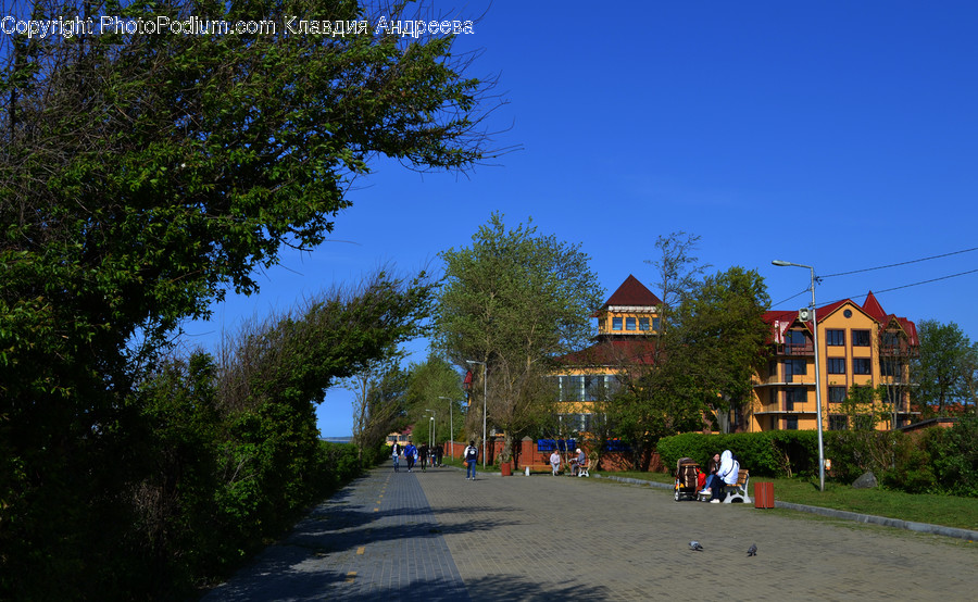 Building, House, Housing, Villa, Path