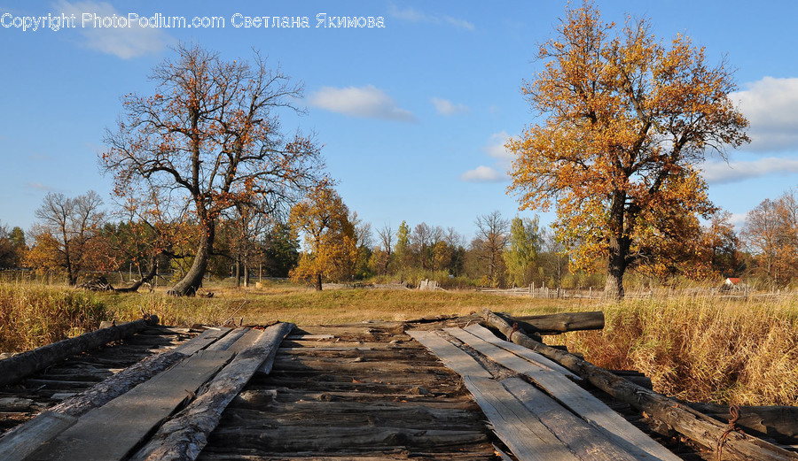 Rail, Railway, Train Track, Transportation, Boardwalk