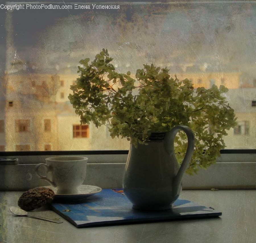 Flora, Jar, Plant, Potted Plant, Pottery