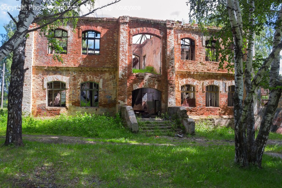 Building, House, Housing, Mansion, Flora