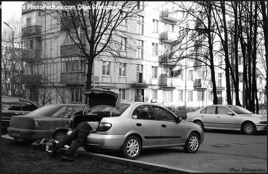 Automobile, Car, Vehicle, Sedan, Parking, Parking Lot, Cab