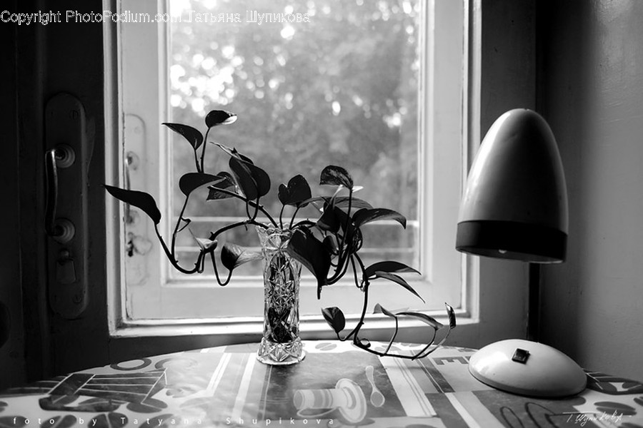 Flora, Jar, Plant, Potted Plant, Pottery