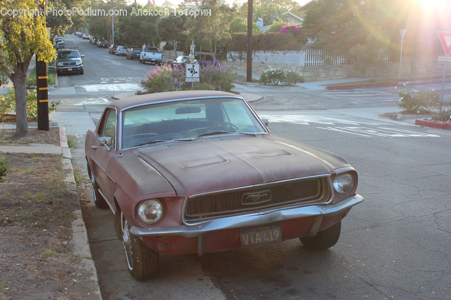 Automobile, Car, Coupe, Sports Car, Transportation