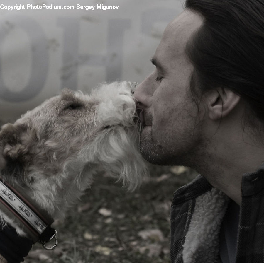 People, Person, Human, Smoke, Animal, Canine, Dog
