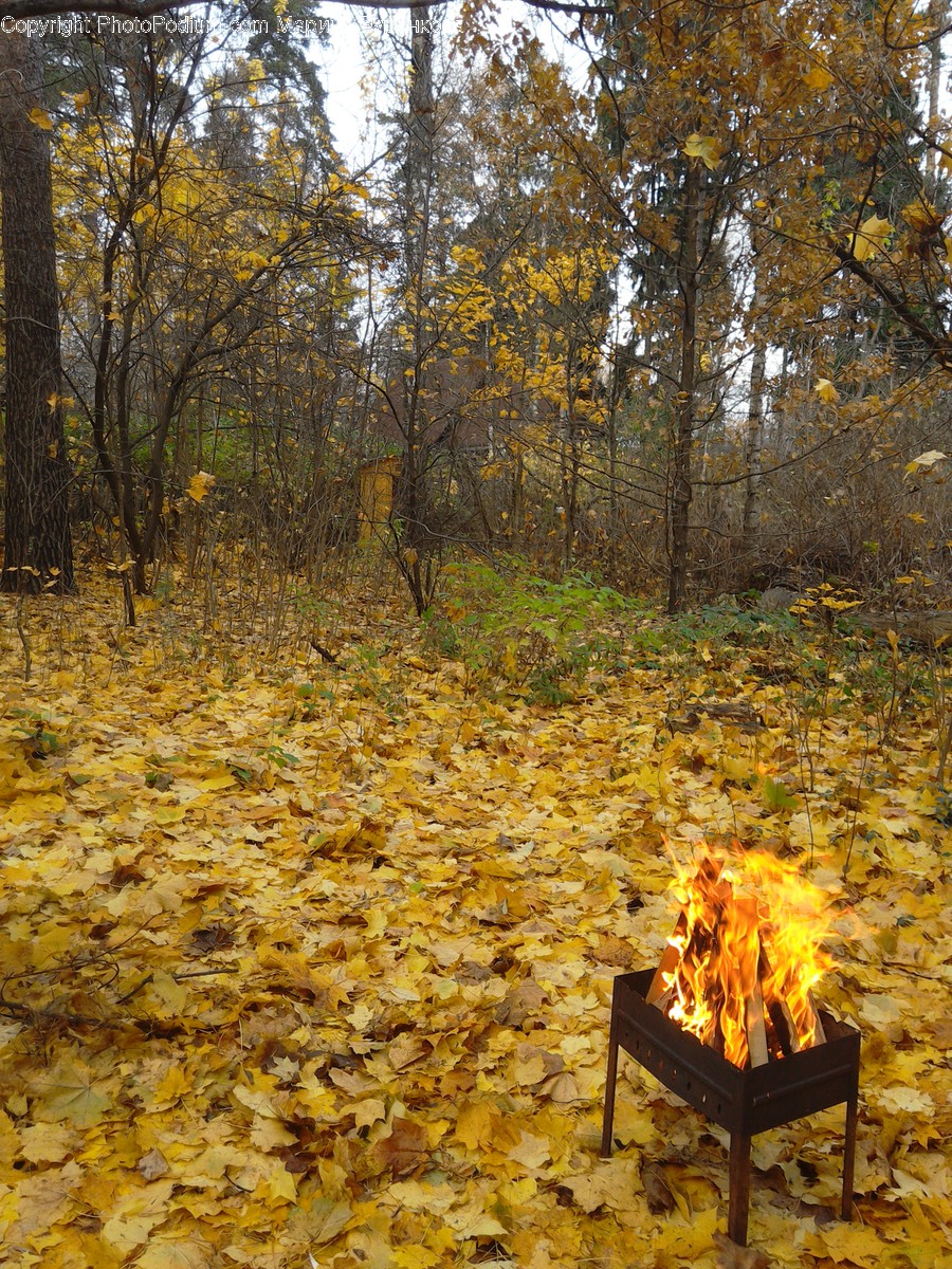 Bench, Fire, Flame, Bonfire, Campfire