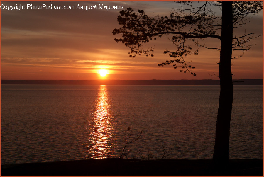 Dawn, Dusk, Nature, Outdoors, Red Sky
