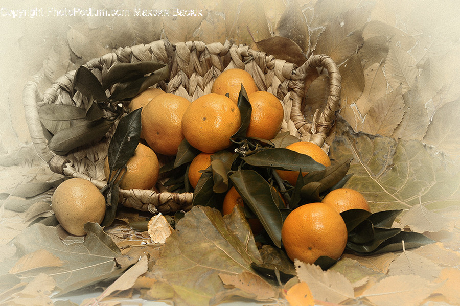 Citrus Fruit, Flora, Food, Fruit, Grapefruit