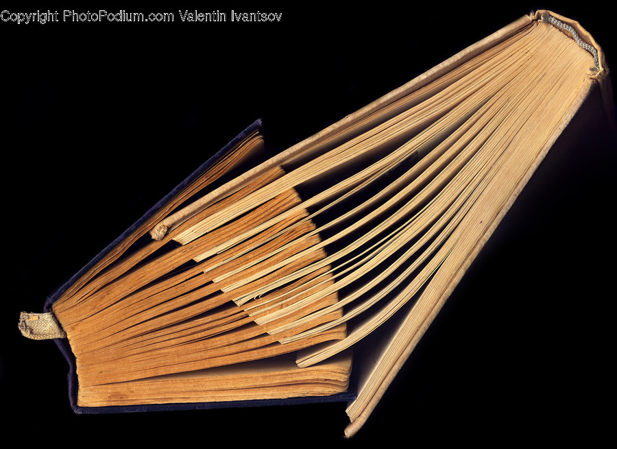 Paper, File Binder, File Folder, Plywood, Wood