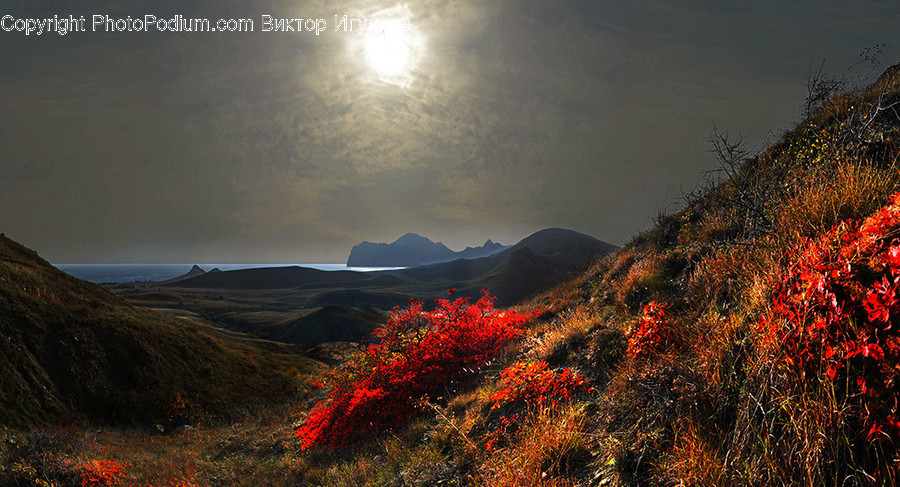 Nature, Field, Grassland, Outdoors, Mountain