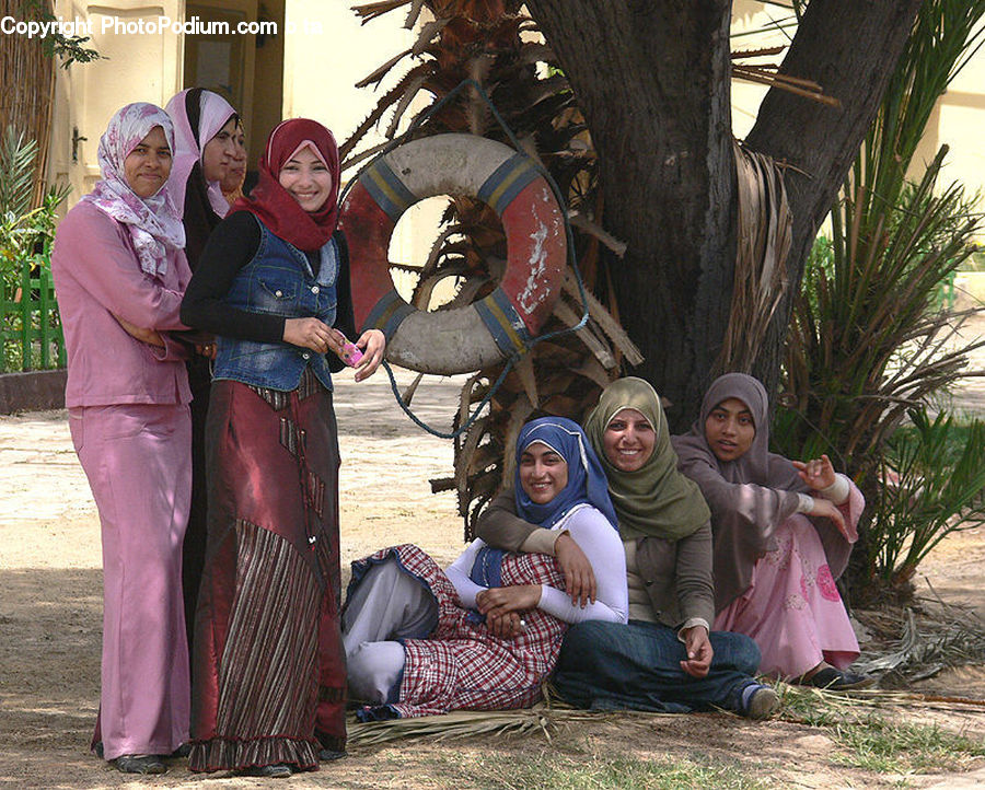 Human, People, Person, Costume, Sari, Palm Tree, Plant