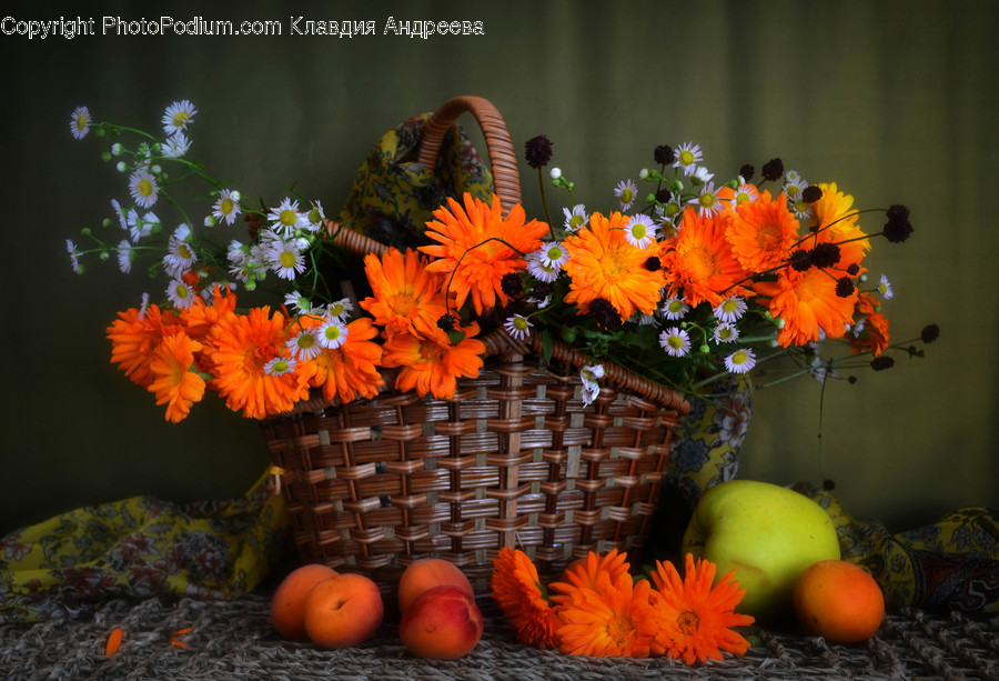Flora, Jar, Plant, Potted Plant, Pottery