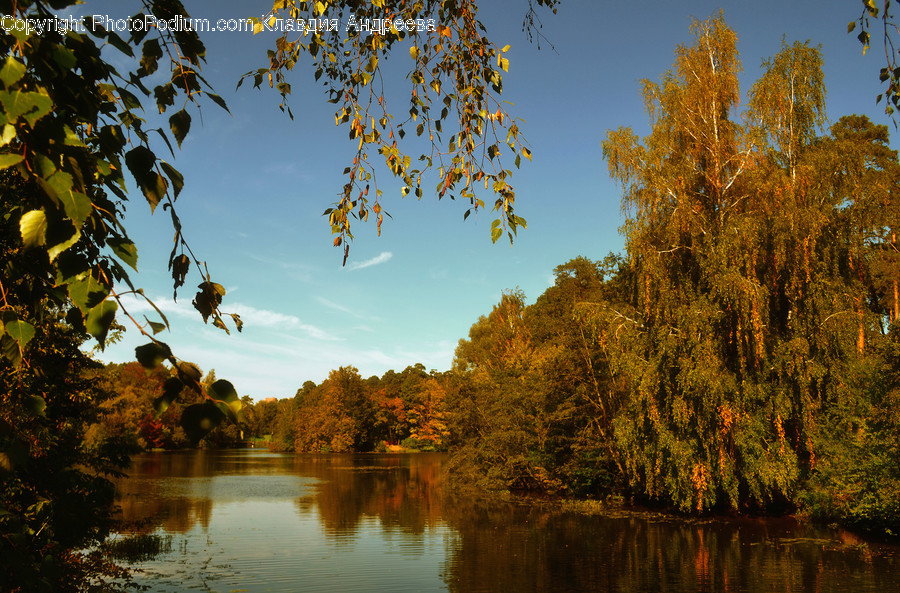 Landscape, Nature, Outdoors, Scenery, Flora