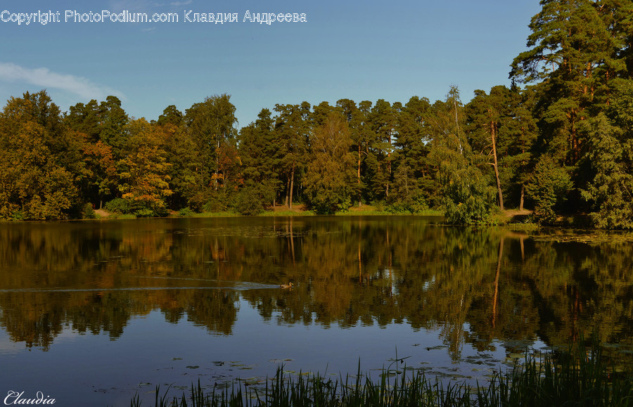 Outdoors, Pond, Water, Lake, Flora