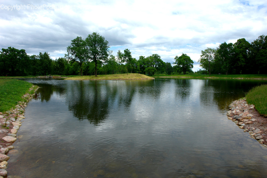 Outdoors, Pond, Water, Flora, Grass