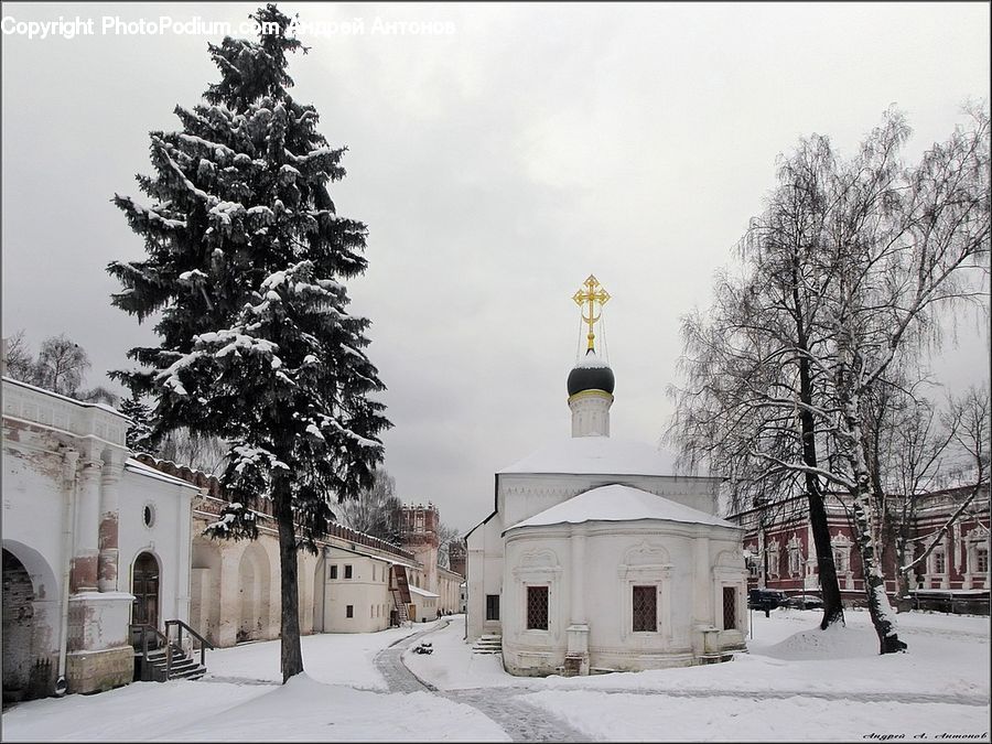 Conifer, Fir, Pine, Spruce, Wood, Architecture, Church