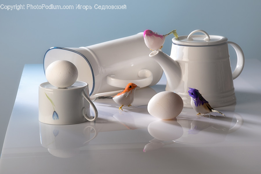 Coffee Cup, Cup, Animal, Bird, Swallow