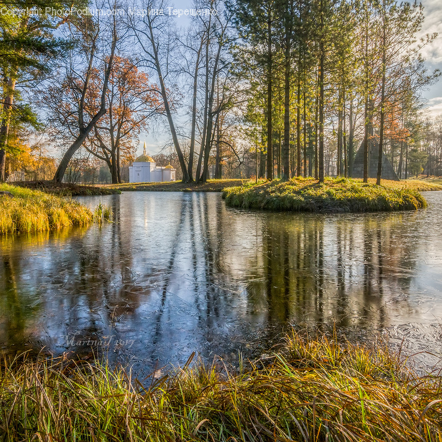 Outdoors, Pond, Water, Canal, Flora