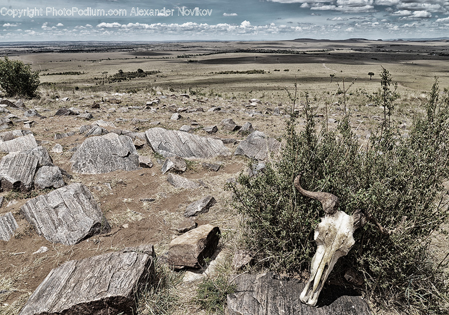 Ground, Soil, Rock, Rubble, Outdoors