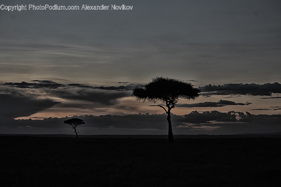 Dawn, Dusk, Nature, Outdoors, Red Sky