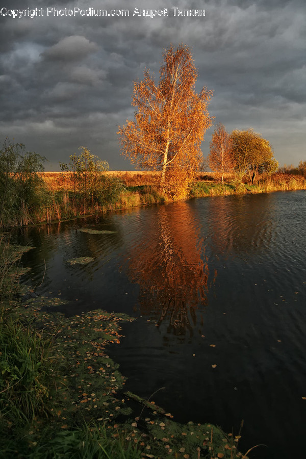 Lake, Outdoors, Water, Field, Grassland