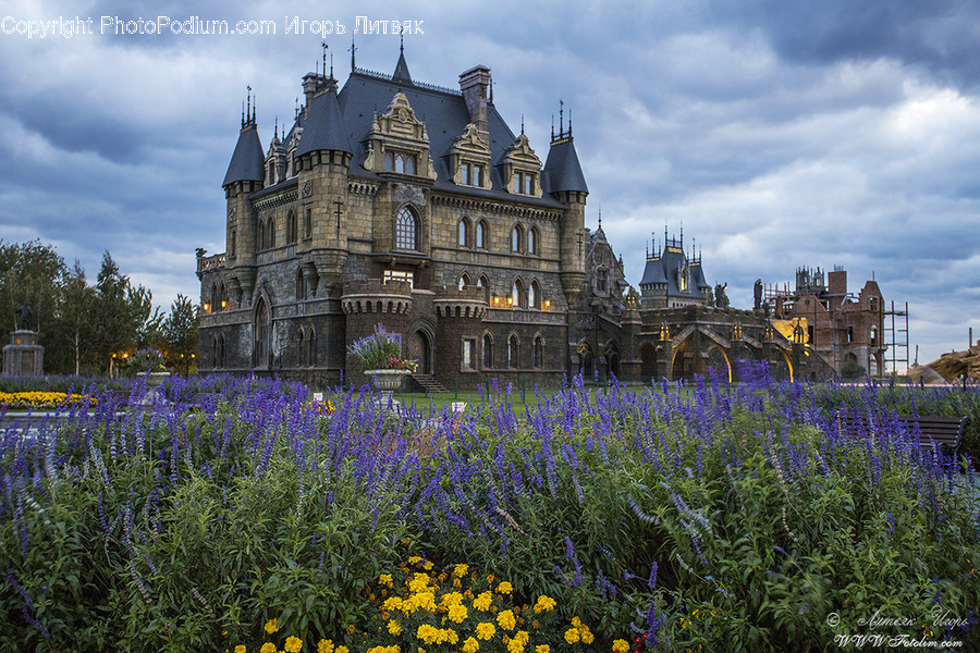 Architecture, Building, Castle, House, Housing
