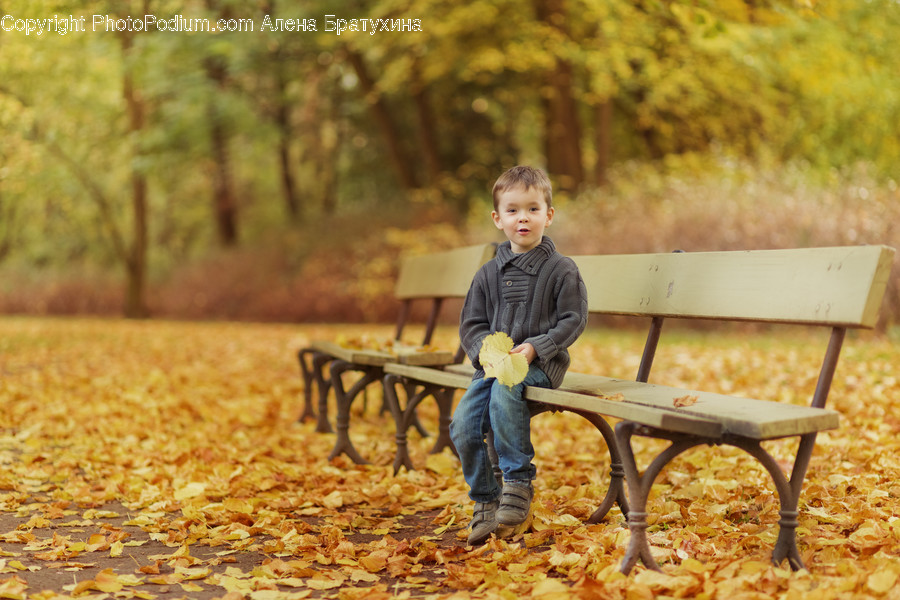 Human, People, Person, Bench, Park Bench