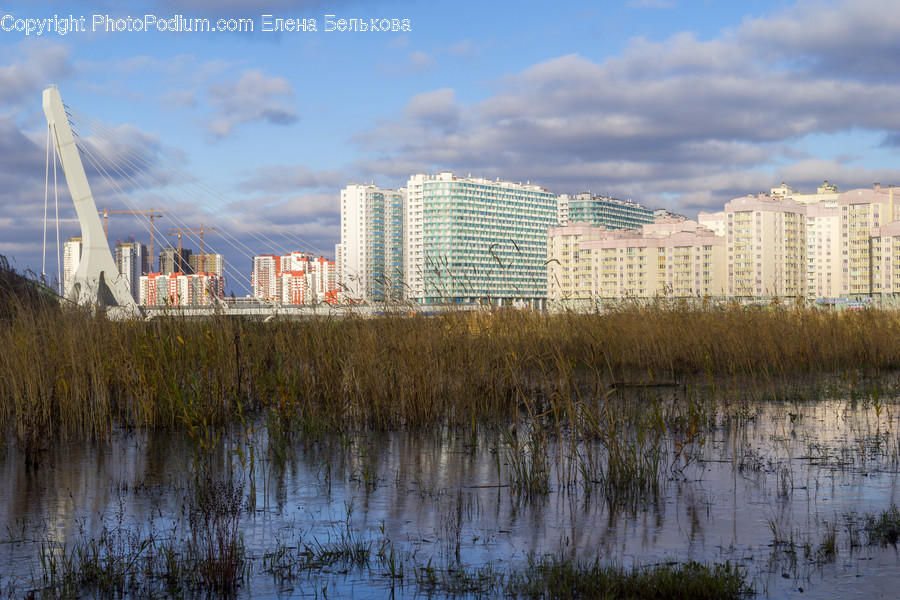Building, Housing, Flora, Grass, Plant