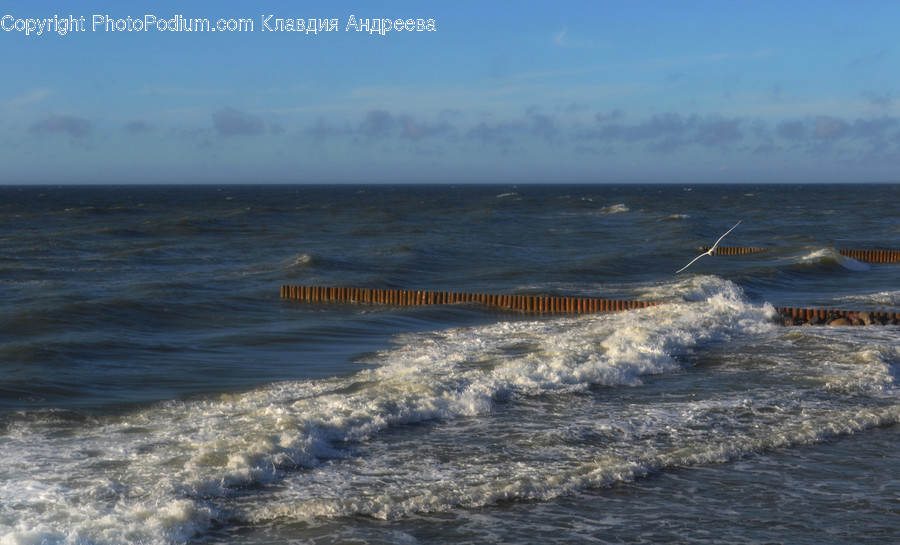 Coast, Nature, Ocean, Outdoors, Sea