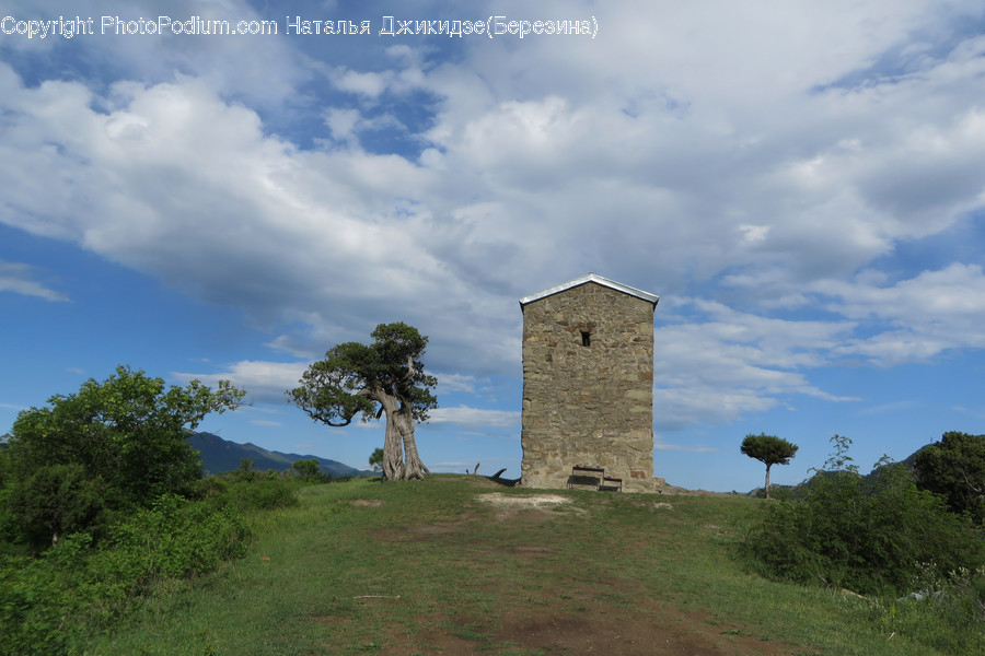 Architecture, Bell Tower, Building, Tower, Flora