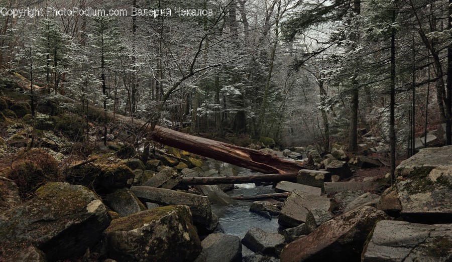 Rock, Outdoors, Creek, Stream, Water