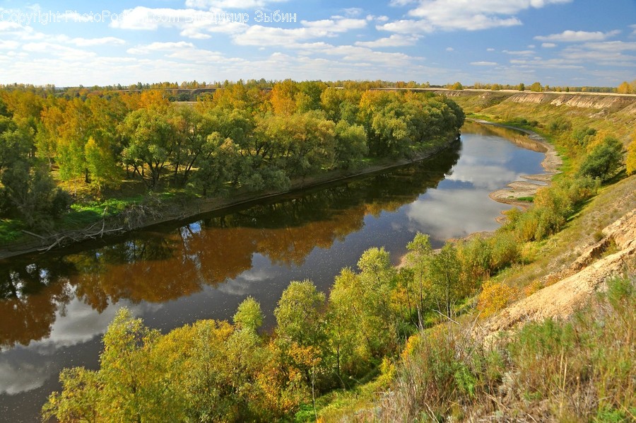 Outdoors, River, Water, Flora, Plant