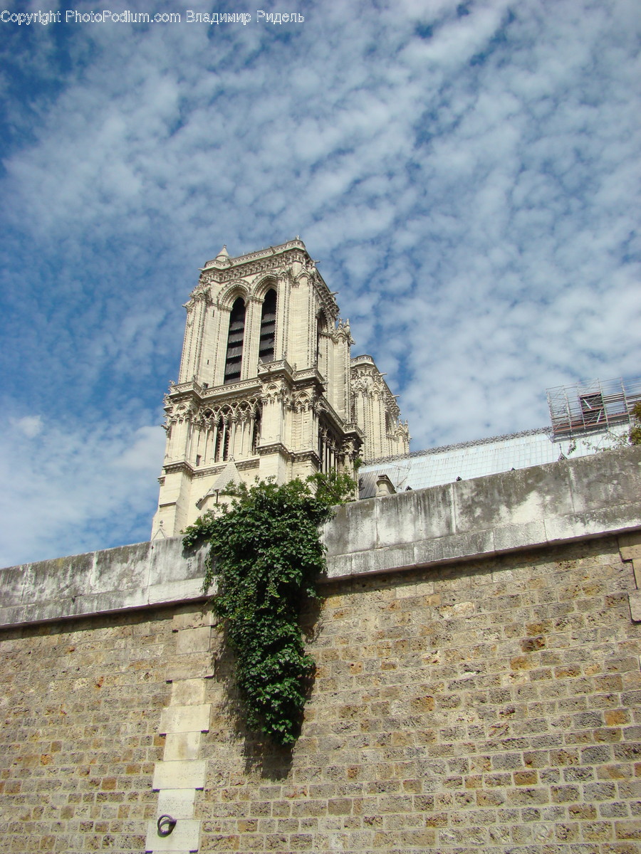 Architecture, Bell Tower, Building, Tower, Flora