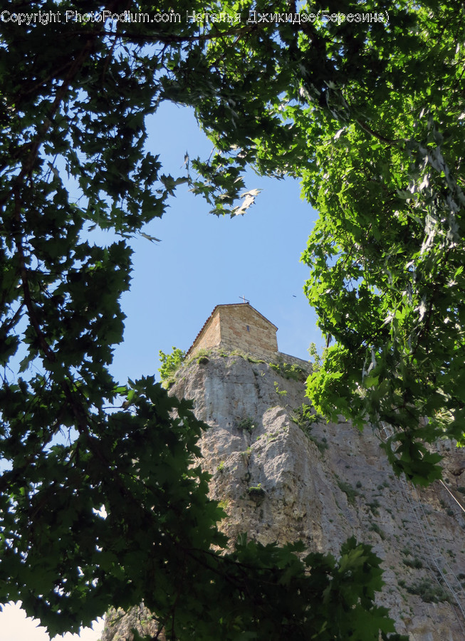 Architecture, Bell Tower, Building, Tower, Algae
