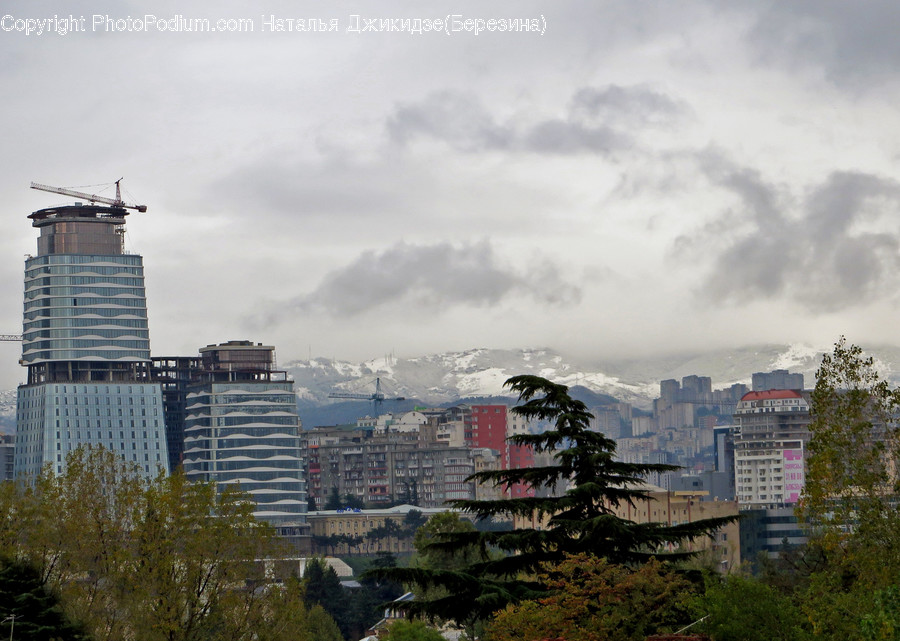 Building, Housing, City, High Rise, Town