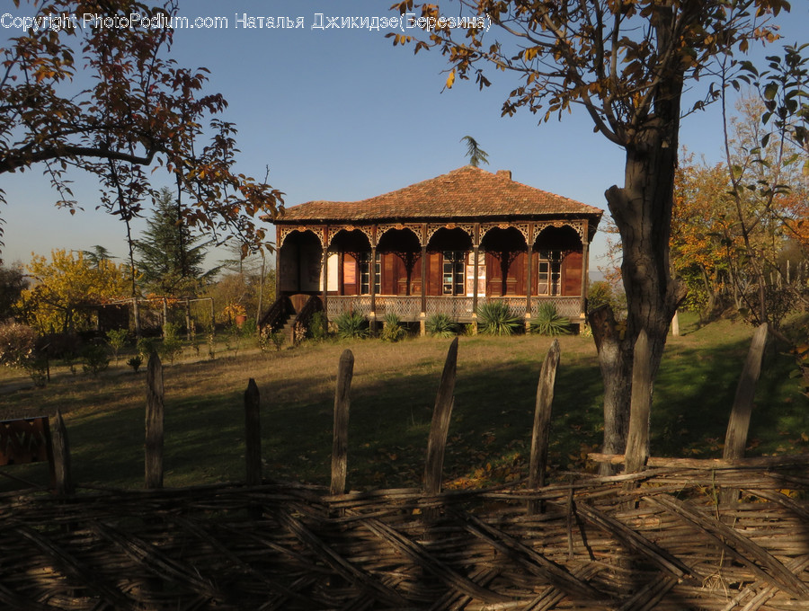 Gazebo, Bench, Flora, Plant, Tree
