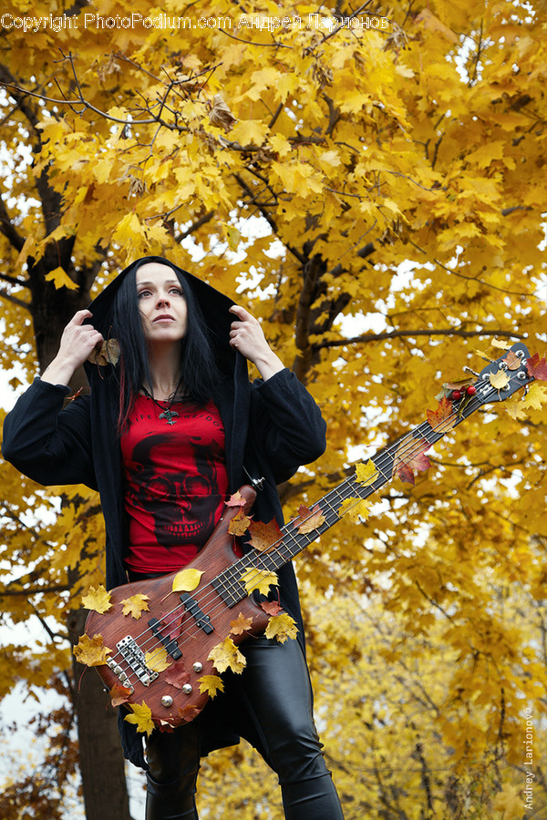Human, People, Person, Guitar, Guitarist