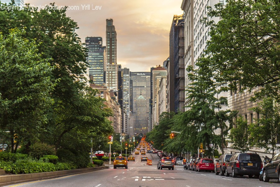 Intersection, Road, Building, City, Downtown