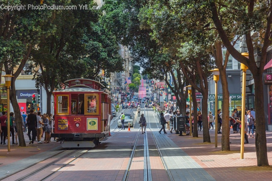 Cable Car, Streetcar, Tram, Transportation, Trolley