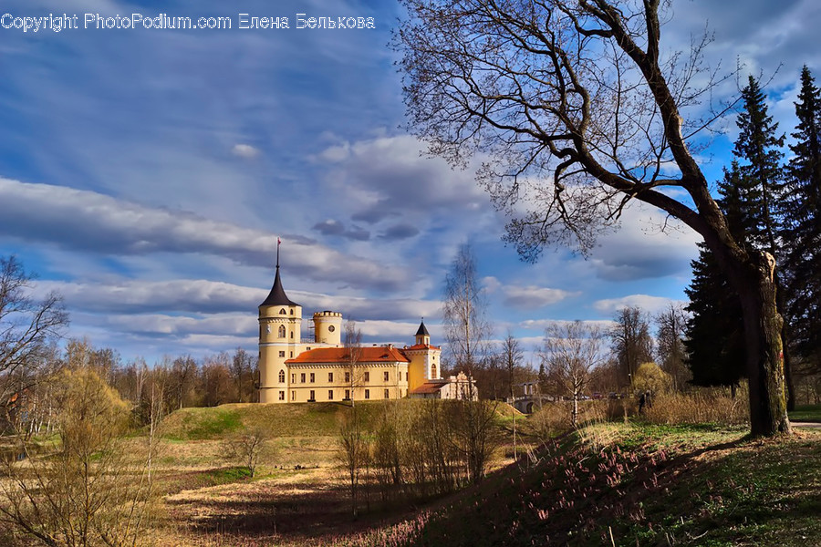 Building, House, Housing, Mansion, Architecture