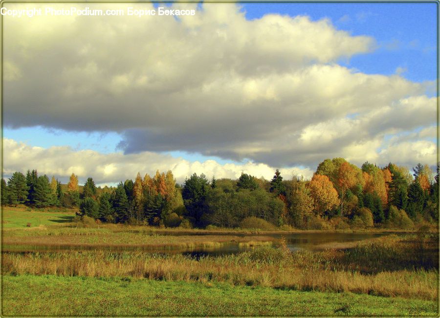 Field, Grass, Grassland, Land, Outdoors, Cloud, Cumulus