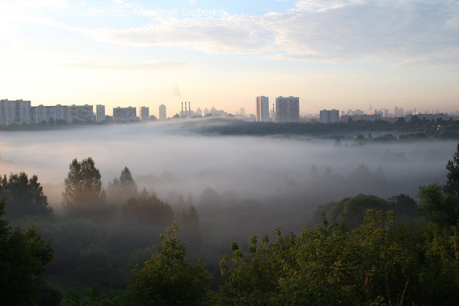 Fog, Nature, Weather, Storm, Mist