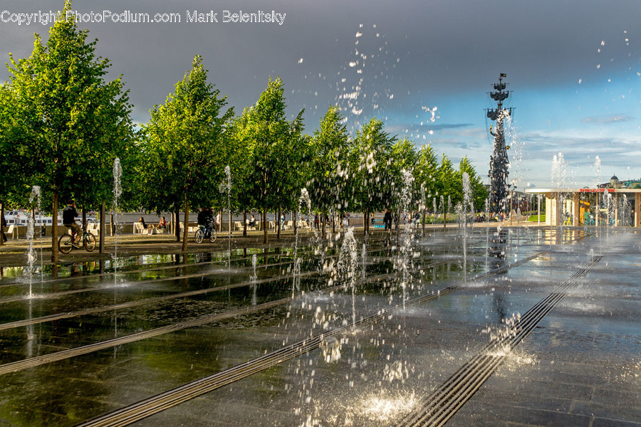 Flora, Plant, Tree, Fountain, Water