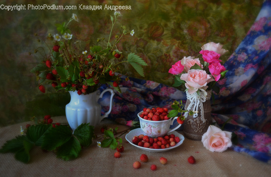 Flora, Jar, Plant, Potted Plant, Pottery
