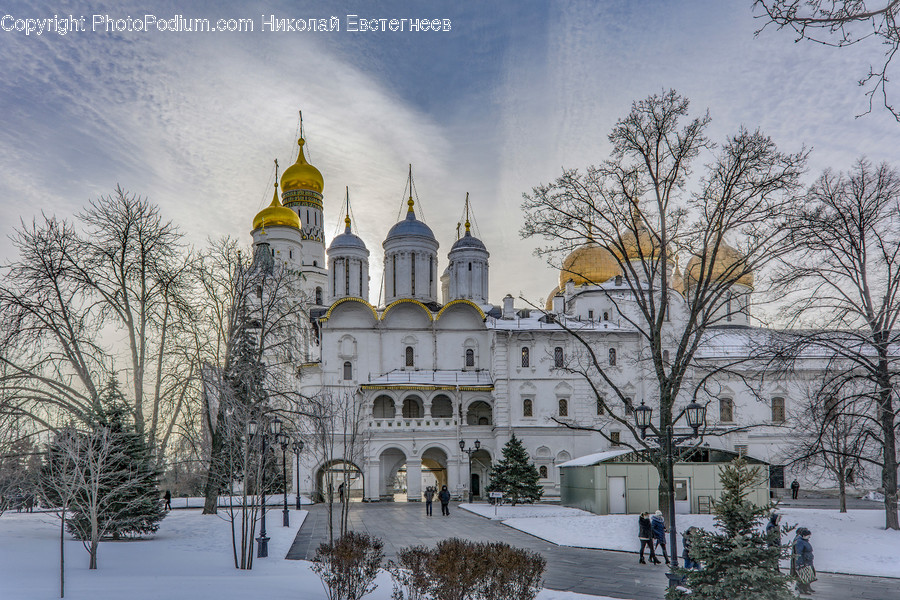 Architecture, Bell Tower, Building, Tower, Outdoors