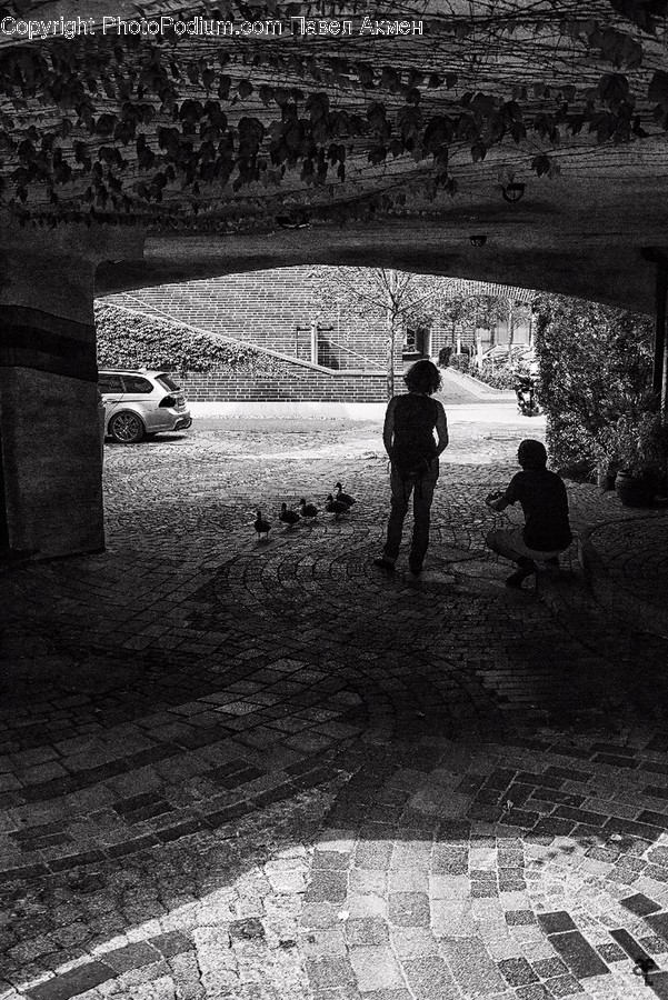 Silhouette, Urban