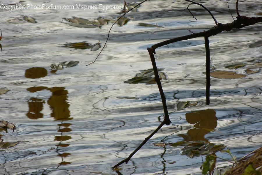 Outdoors, Ripple, Water, Art, Paper