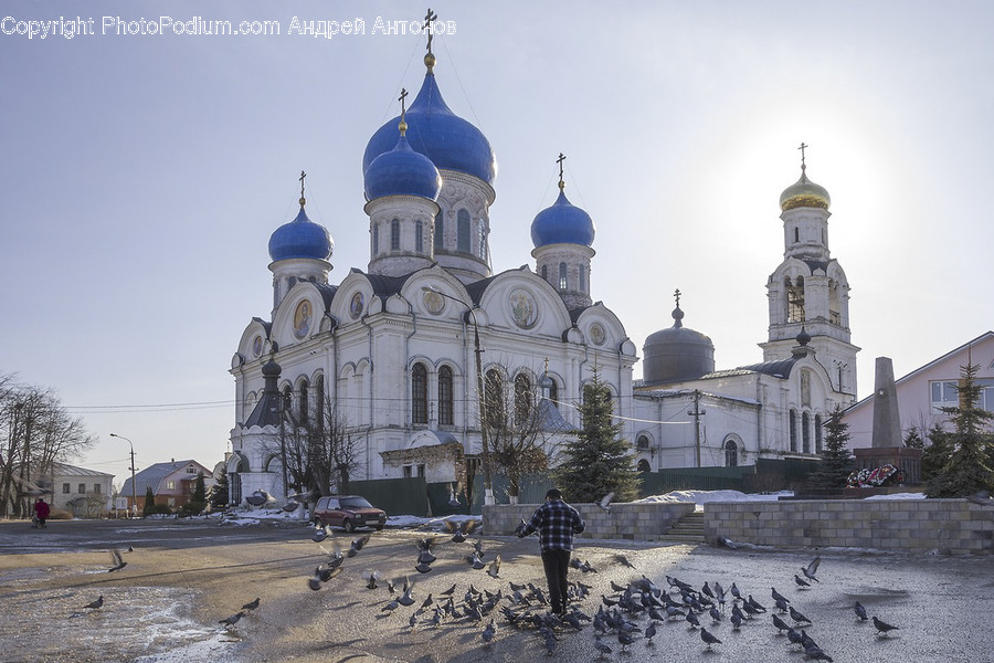 Architecture, Building, Cathedral, Church, Worship